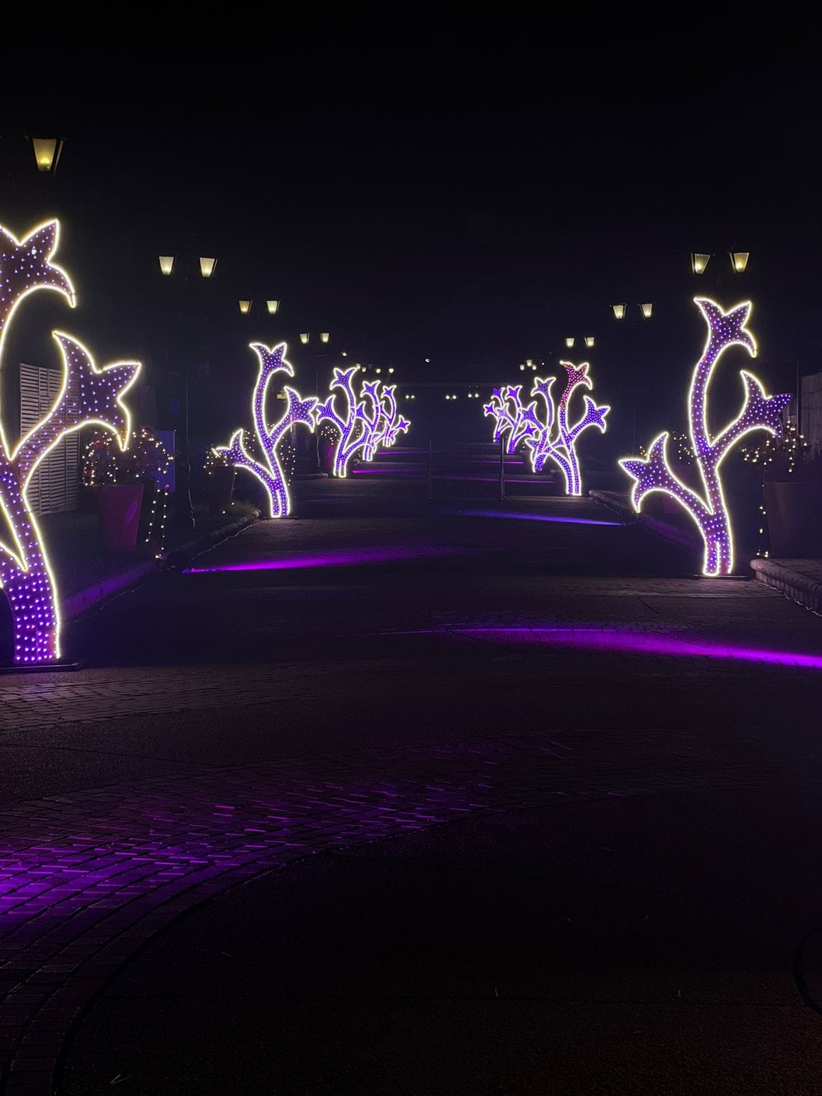 Luminous Pathway